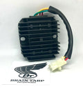 Brain Tarp RR1-124-00 product